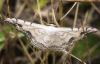 211112 – Photo : Brigitte Ulmer – France (47)